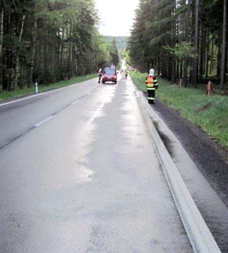 Autobus Pata 2.JPG