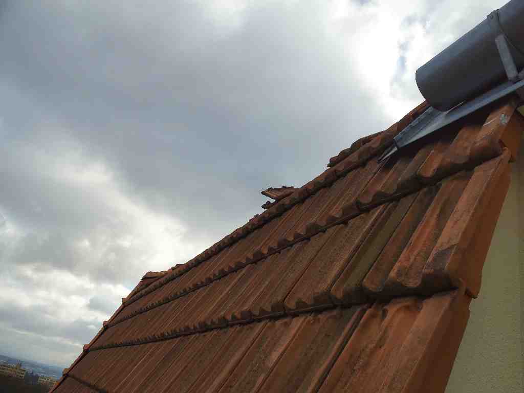 BM - Kohoutovice.jpg