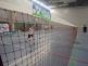 Badminton (9)