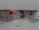 CV_nemile_28-3-2013