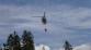 CV_rejviz_29-5-2013