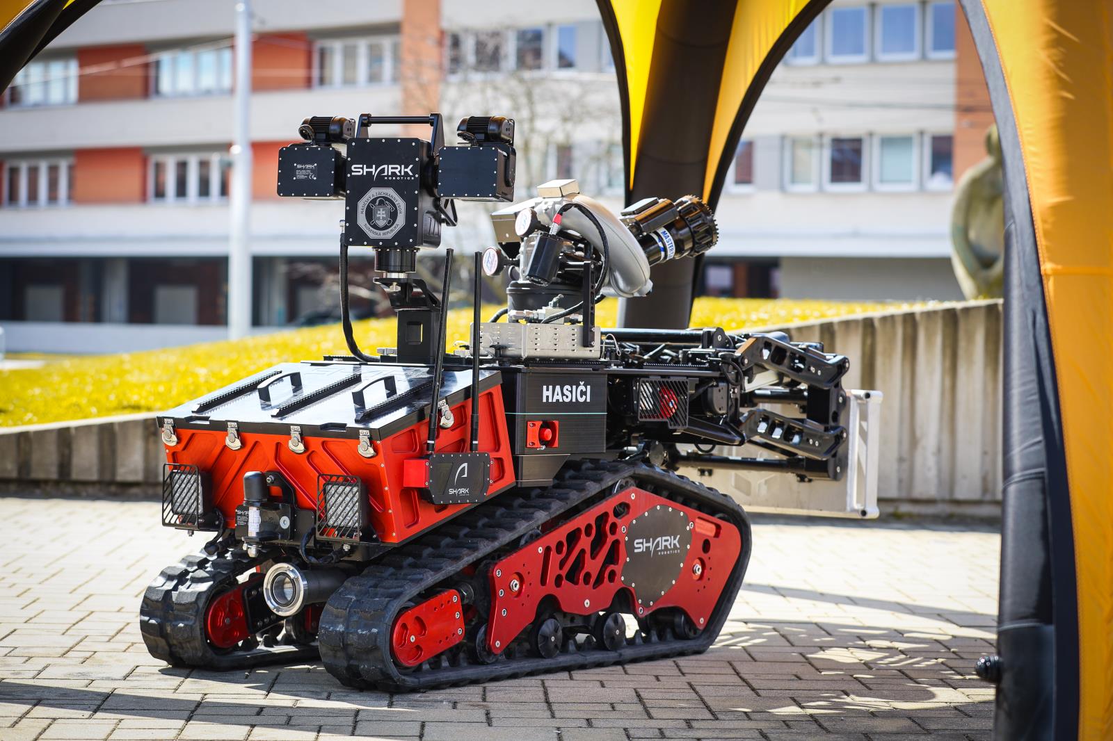 Červený kohout 2025 (27).jpeg