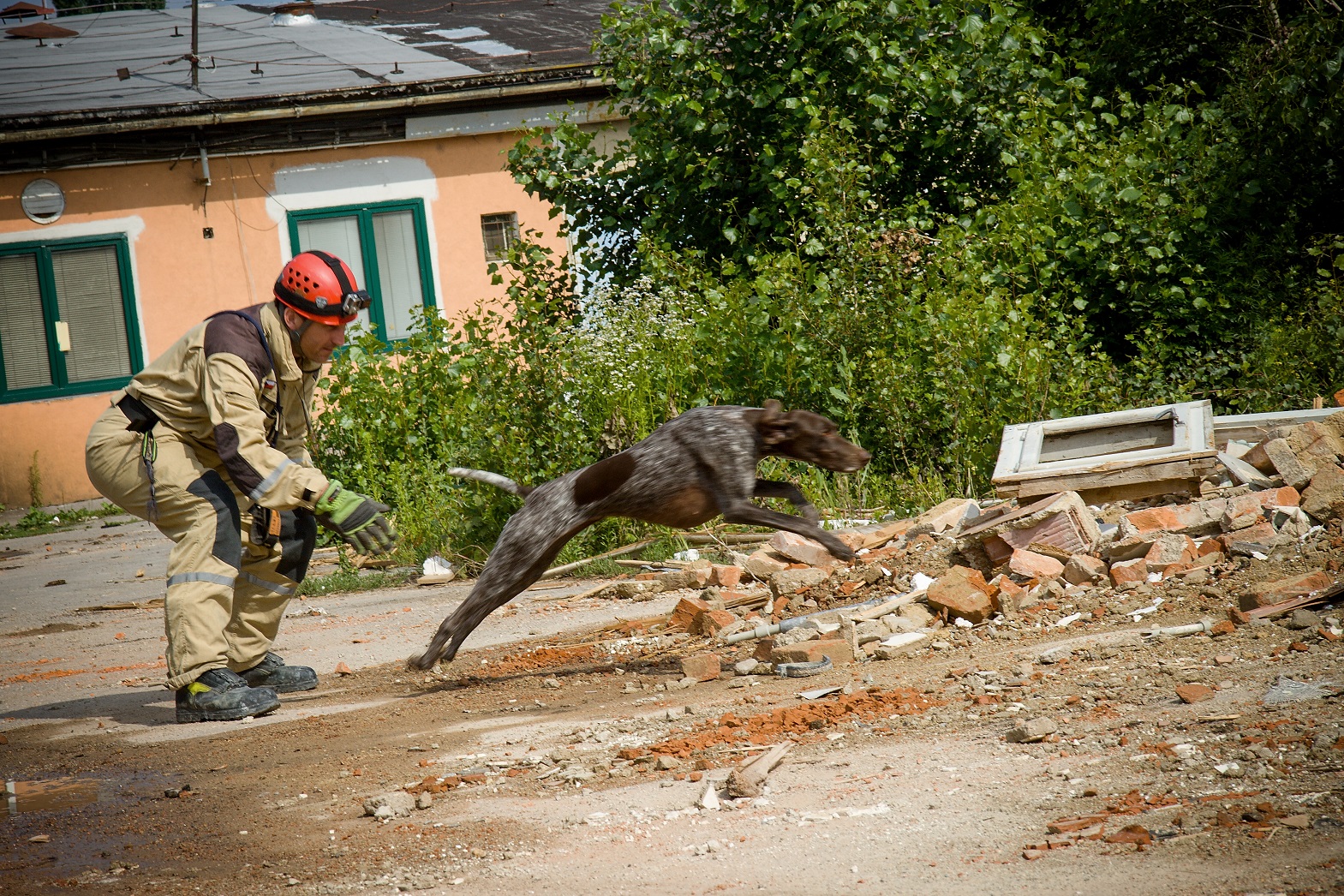 Cvičení kynologů_23.-25.6._Brno