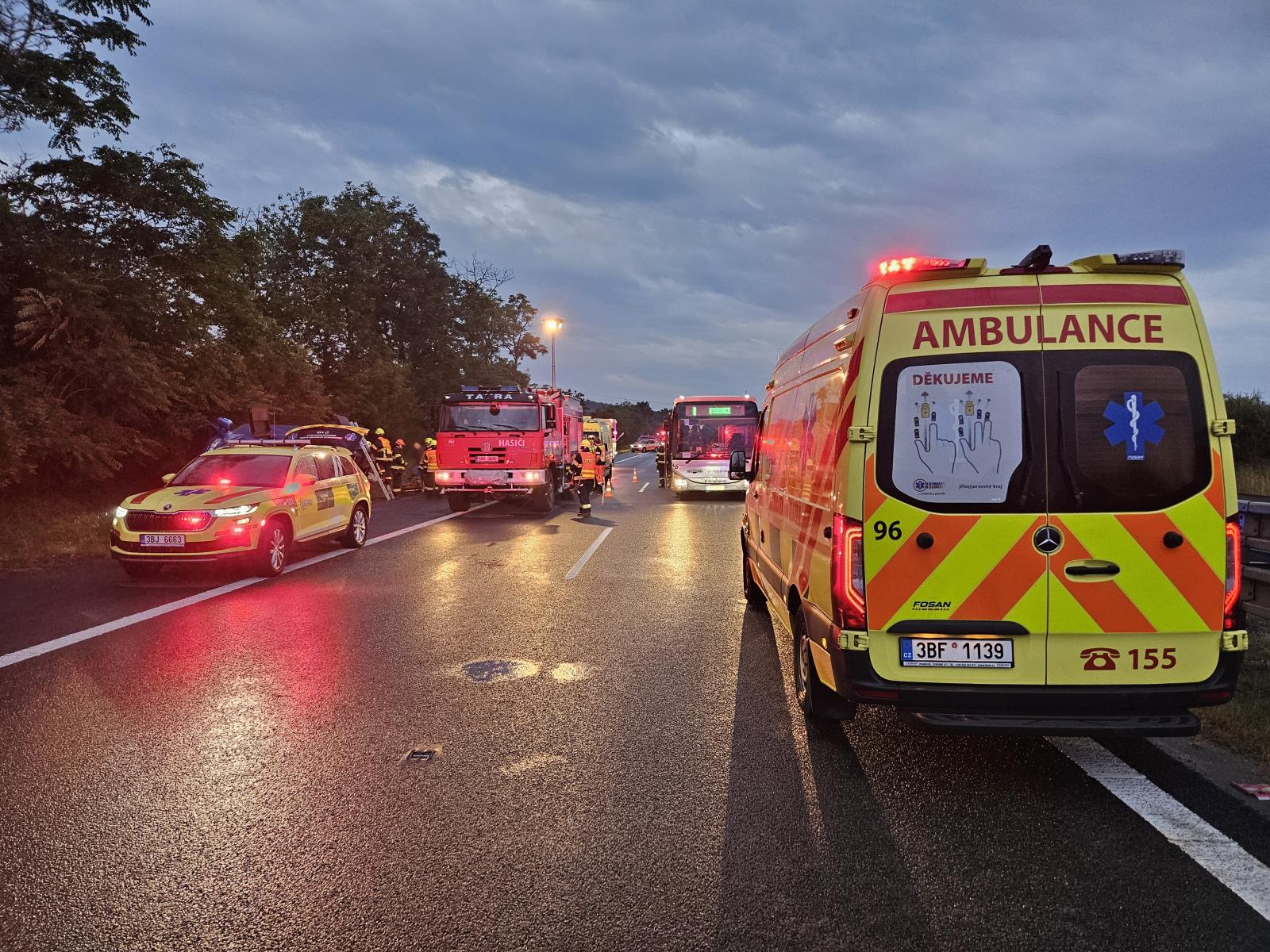 DN BUS na D2 (3).jpg