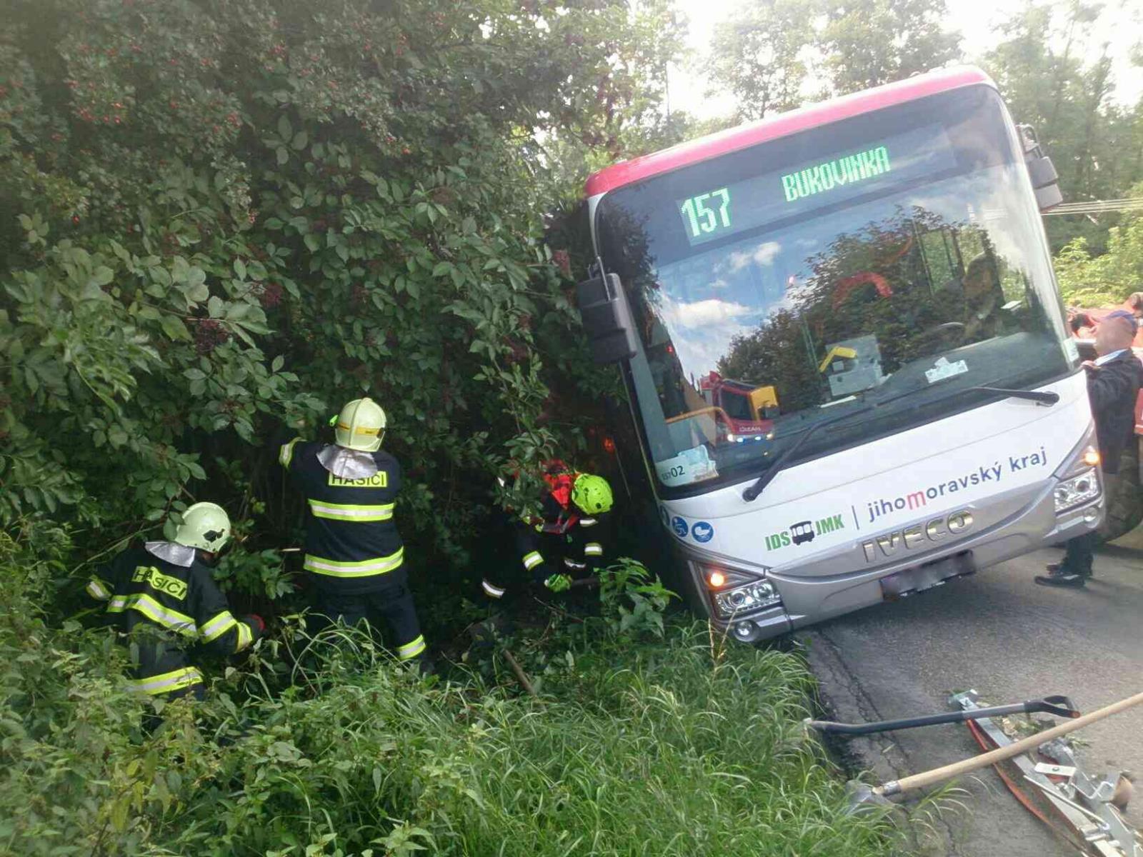 DN BUS_2.jpg