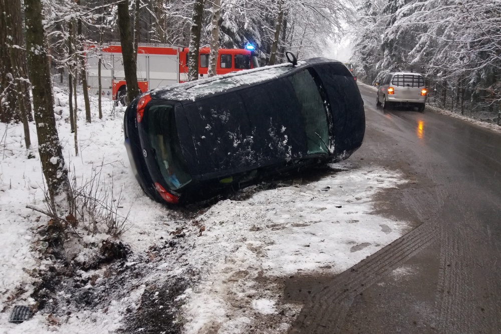 DN Dvůr Králové n. L., Lipnice.jpg
