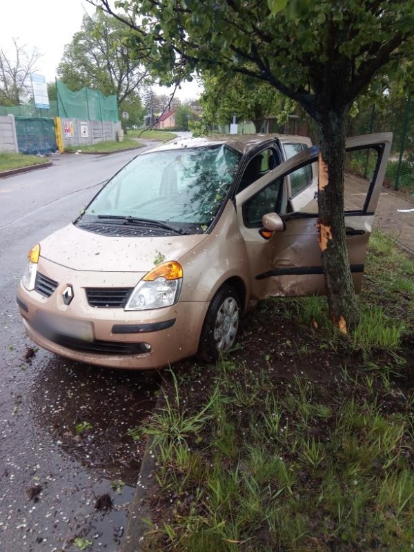 DN HK, Kukleny (1).jpeg