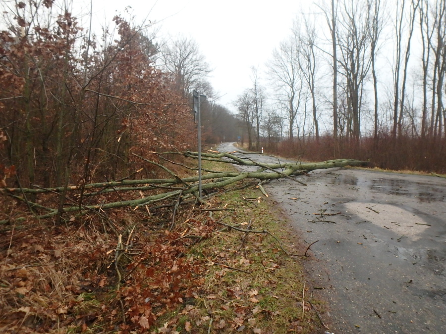 DN Lužec n. C. (3).JPG