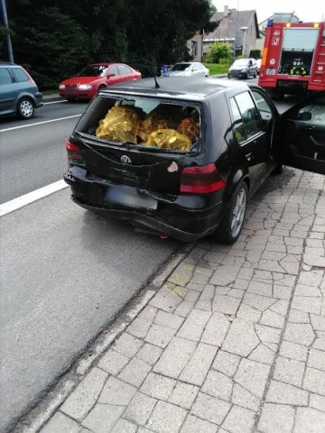 DN Nová Paka (1).jpg