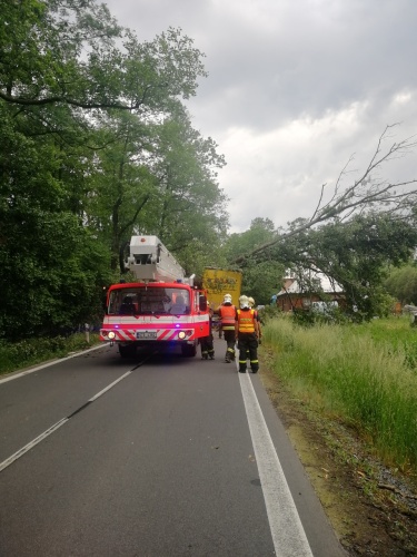 DN kamion3stromyBruntal (1).jpg