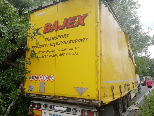 DN kamion3stromyBruntal (4).jpg