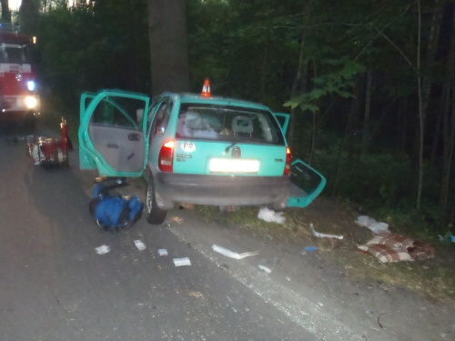 DNCorsa5zraneniVrbnopPr (BR) (1).JPG