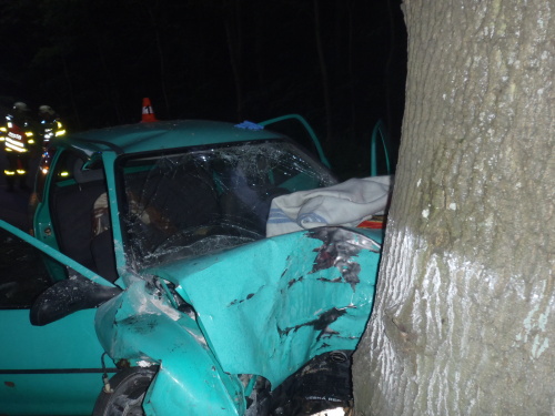 DNCorsa5zraneniVrbnopPr (BR) (4).JPG