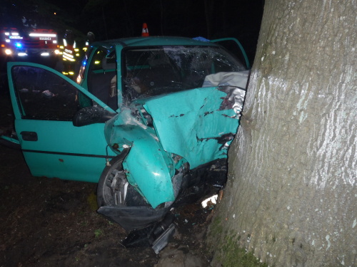 DNCorsa5zraneniVrbnopPr (BR) (5).JPG