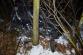 DN_Bustehrad/DSC_9630