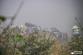 DN_OA_Pustevny_(NJ)_10