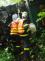 DN_navesu_se_drevem_Odry_(NJ)_03