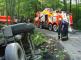 DN_navesu_se_drevem_Odry_(NJ)_10