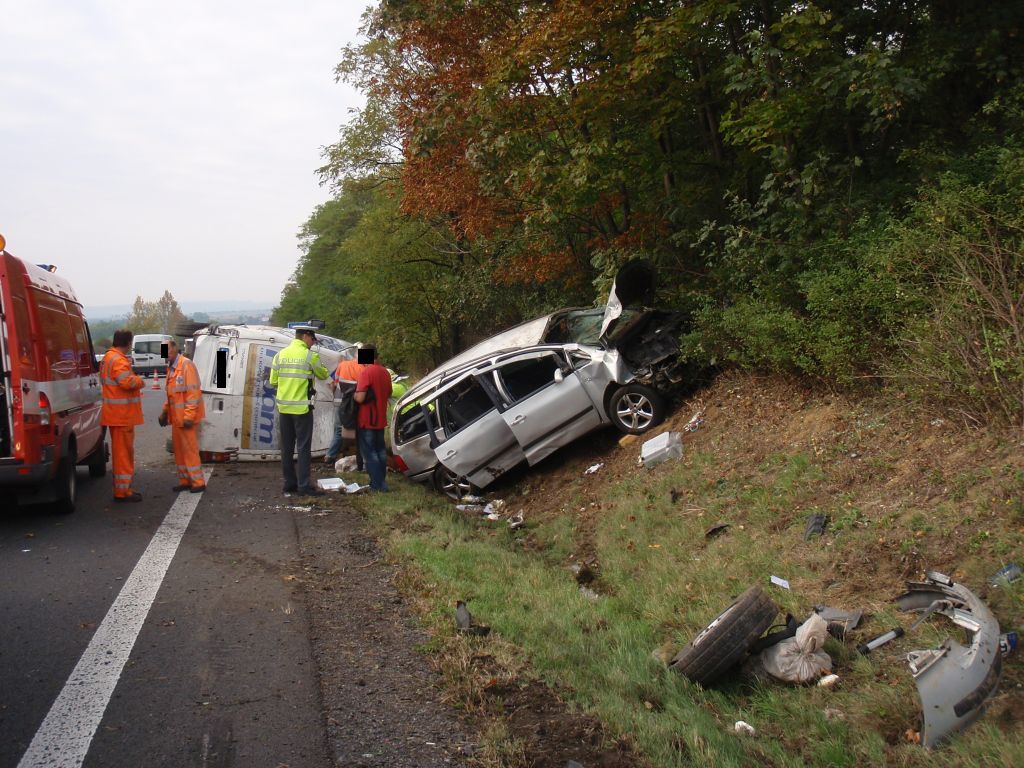 DN_zelec_2-10-2012