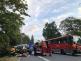 DNbusfordHlucin (1)