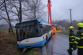 DNbusvyprostovaniRepiste (13)