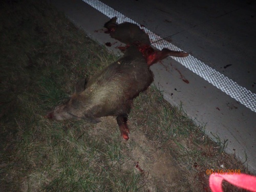 DNdivocaciD1_SuchdolnadOdrou (2).jpg