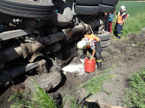 DNdomichavacpoleVresina (OV) (14).JPG