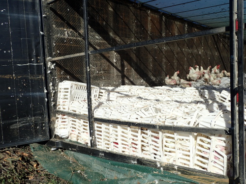 DNkamionPLdrubezMestoAlbrechtice (11).JPG