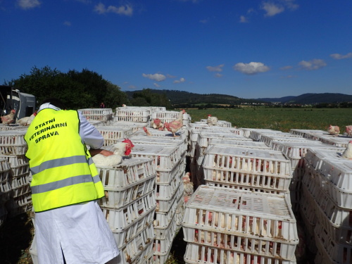 DNkamionPLdrubezMestoAlbrechtice (16).JPG