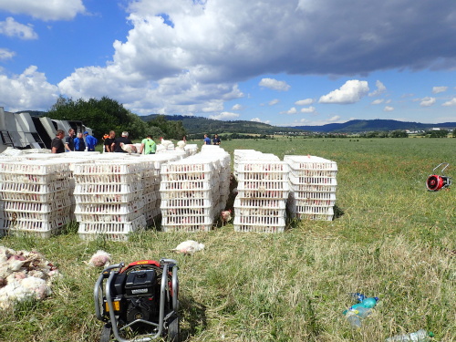 DNkamionPLdrubezMestoAlbrechtice (27).JPG