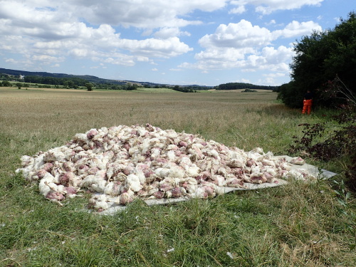 DNkamionPLdrubezMestoAlbrechtice (30).JPG