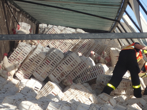 DNkamionPLdrubezMestoAlbrechtice (7).JPG