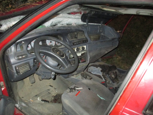 DNstromvyprosteniridicHorniMesto (5).JPG