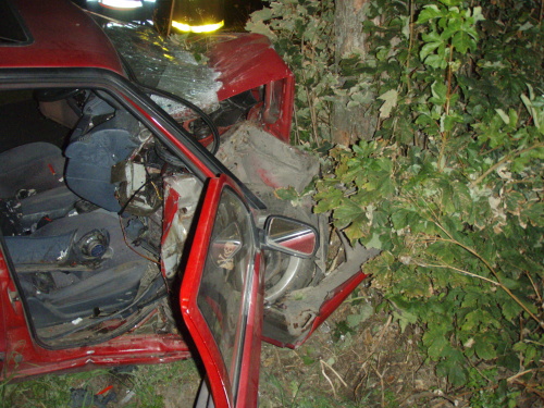 DNstromvyprosteniridicHorniMesto (9).JPG