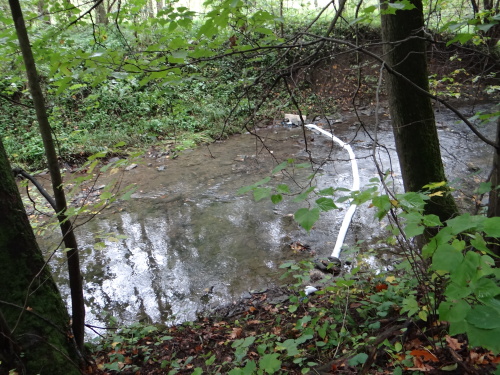 DNvyprosteniDAFaBobcatBruzovice (25).JPG