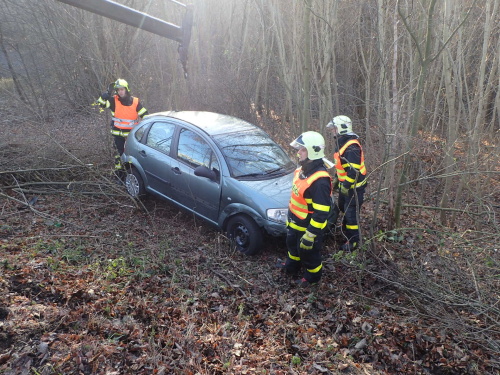 DNvyprosteniporostHlucin (6).JPG