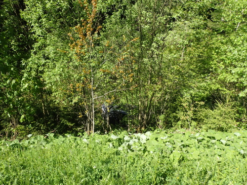 DNvyprostenisrazToyotaStareHamry (3).JPG