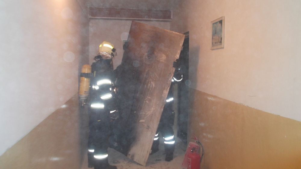 DSCF8564-2.JPG