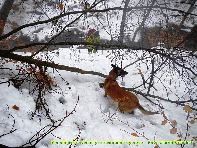 DSCN0527.jpg