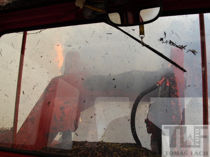 DSC_0712.JPG