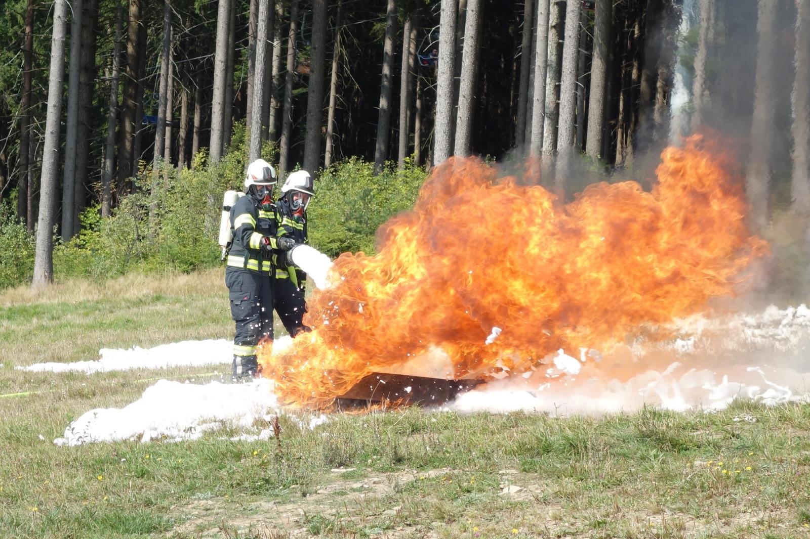 Den IZS, Lipno nad Vltavou - 9. 9. 2017 (12).jpg