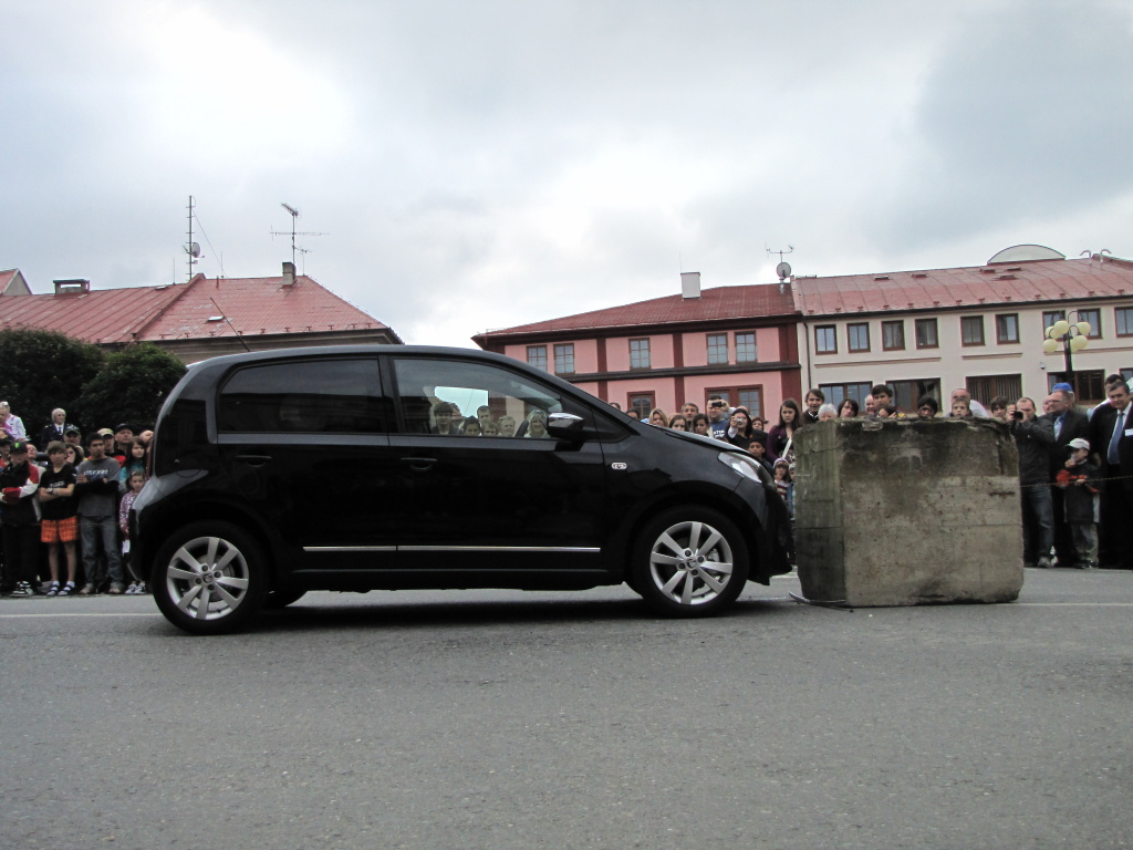 Den složek IZS Dobruška 7.6.2013 017.jpg