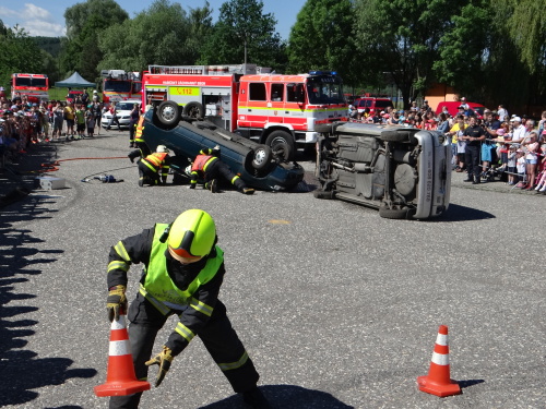 DenIZSskolaciHlucin (12).JPG