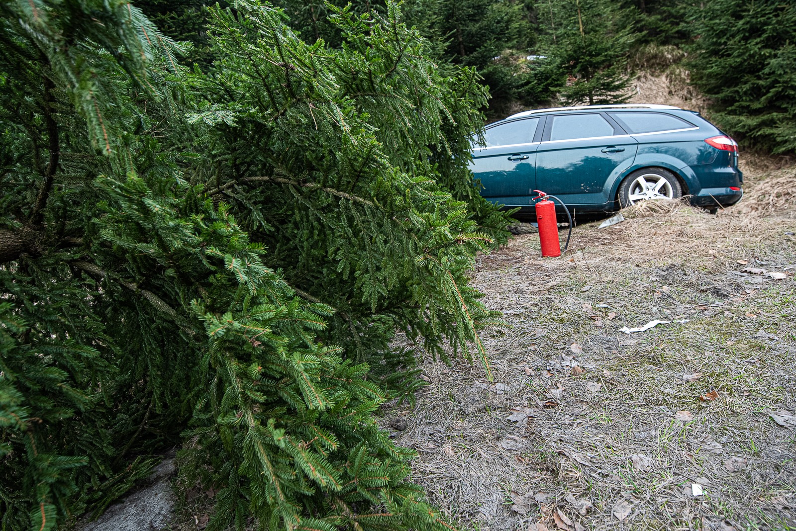 Dopravní nehoda (3).jpg