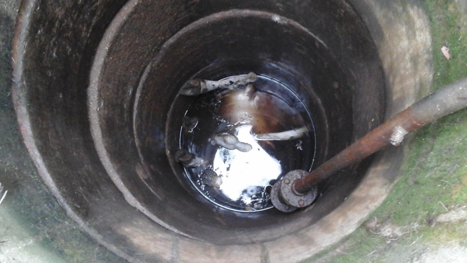 Dopravní nehoda OA + sražená kráva, Lišov - 8. 10. 2017 (3).jpg