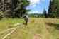 Forest Fire Drill 2017 - 1. den (1)