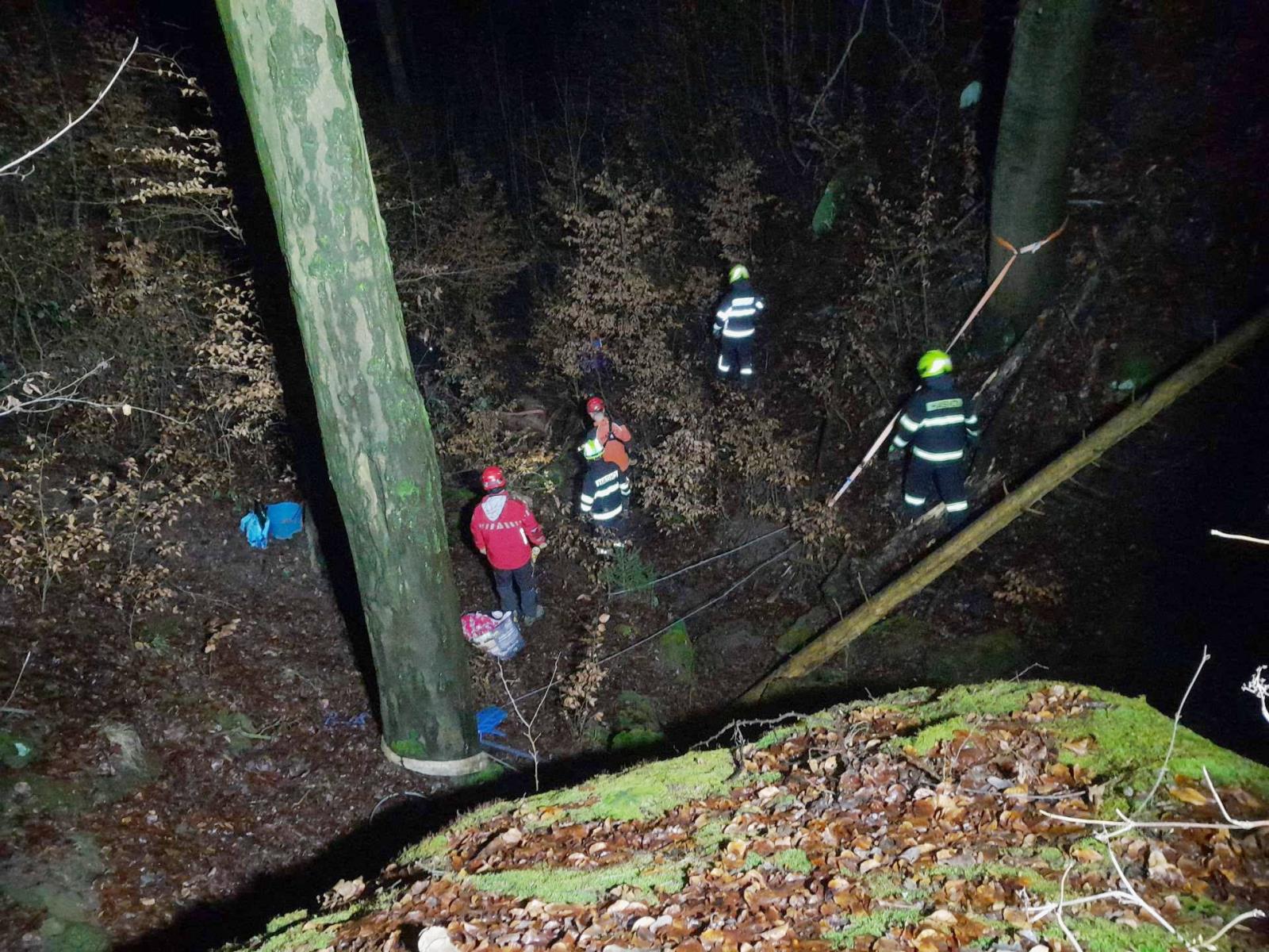 Foto – záchrana koně