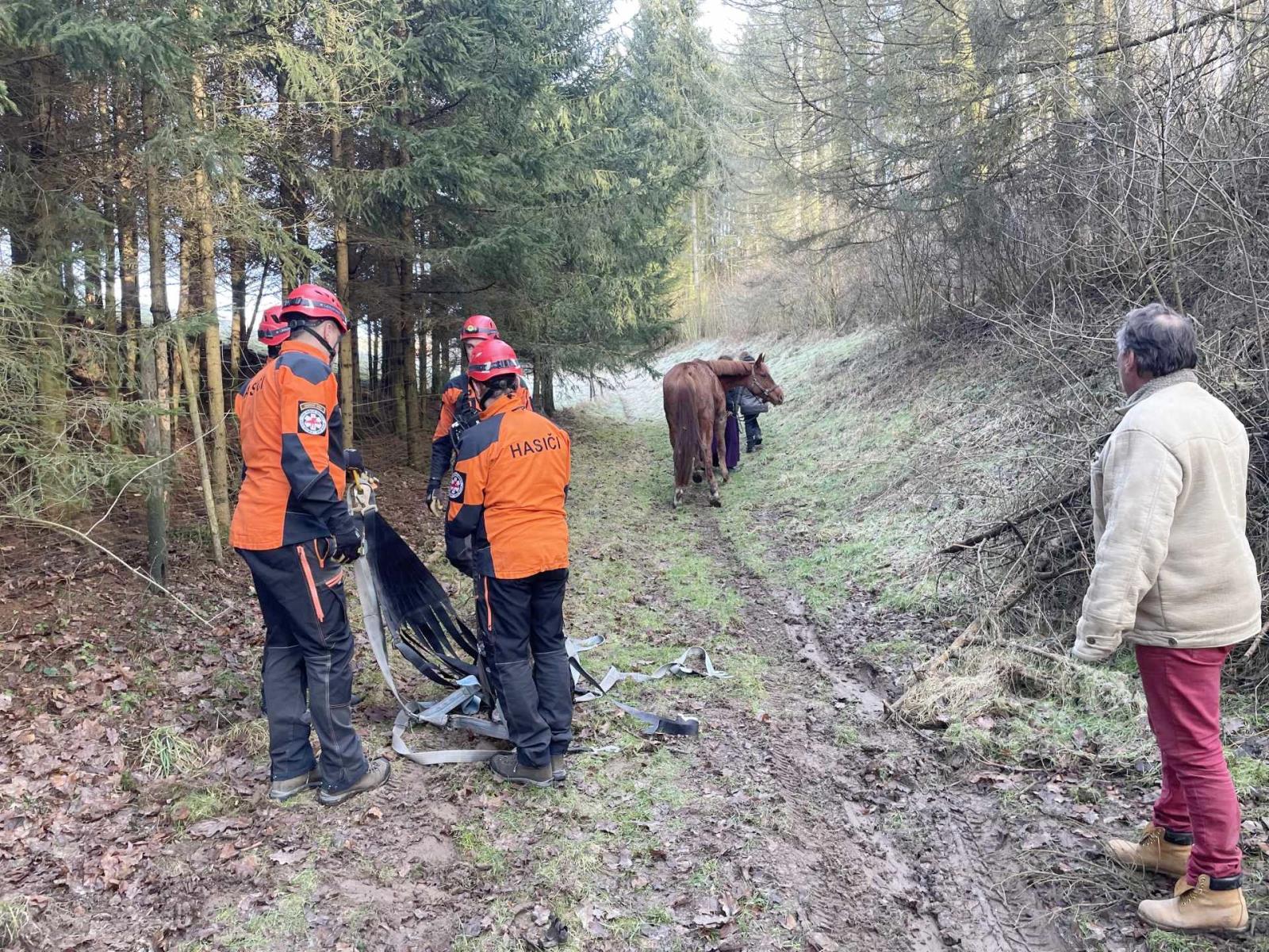 Foto – záchrana koně