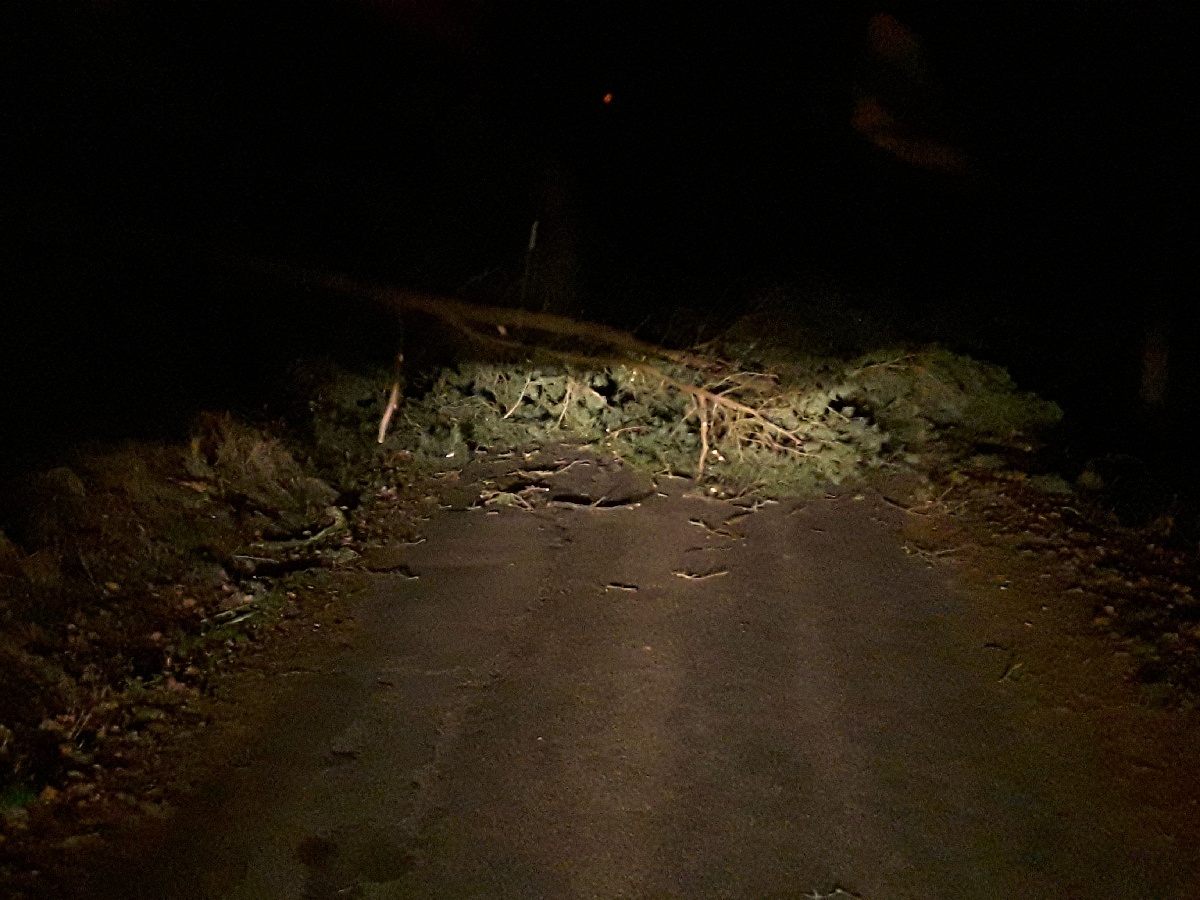 Hasiče na Vysočině zaměstnávají popadané stromy