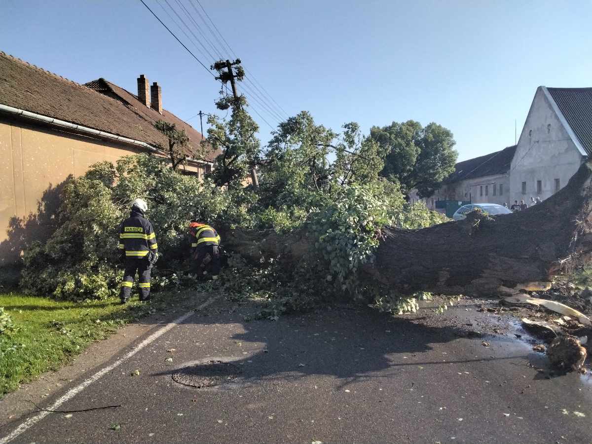 Hasiči na Vysočině odstraňovali popadané stromy.